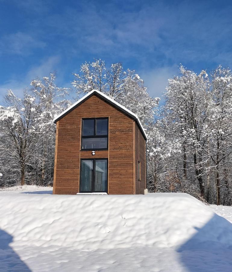 Dzikie Lisko - Apartament Z Tarasem Lesko Exteriör bild