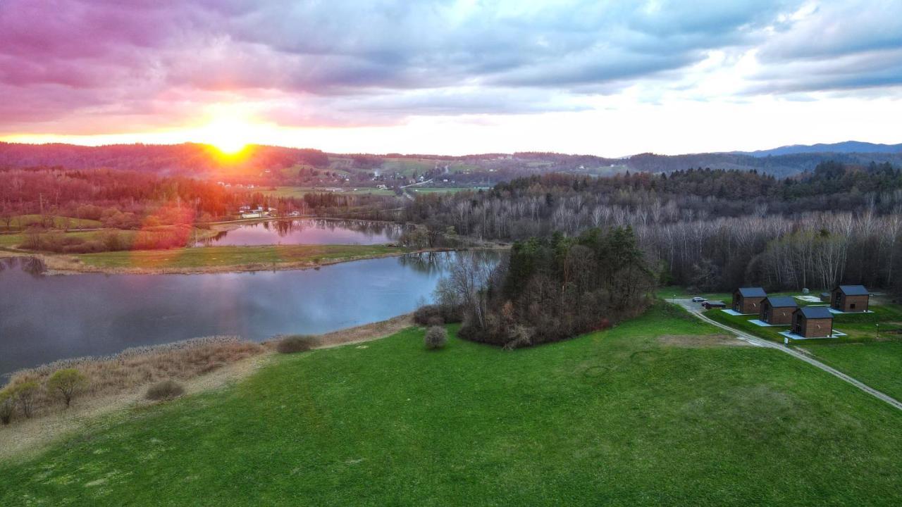 Dzikie Lisko - Apartament Z Tarasem Lesko Exteriör bild