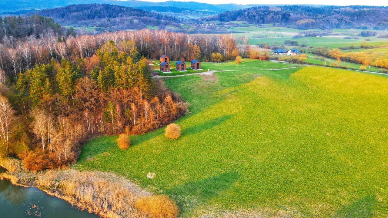 Dzikie Lisko - Apartament Z Tarasem Lesko Exteriör bild